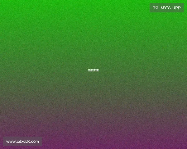 黑曼巴球场在哪